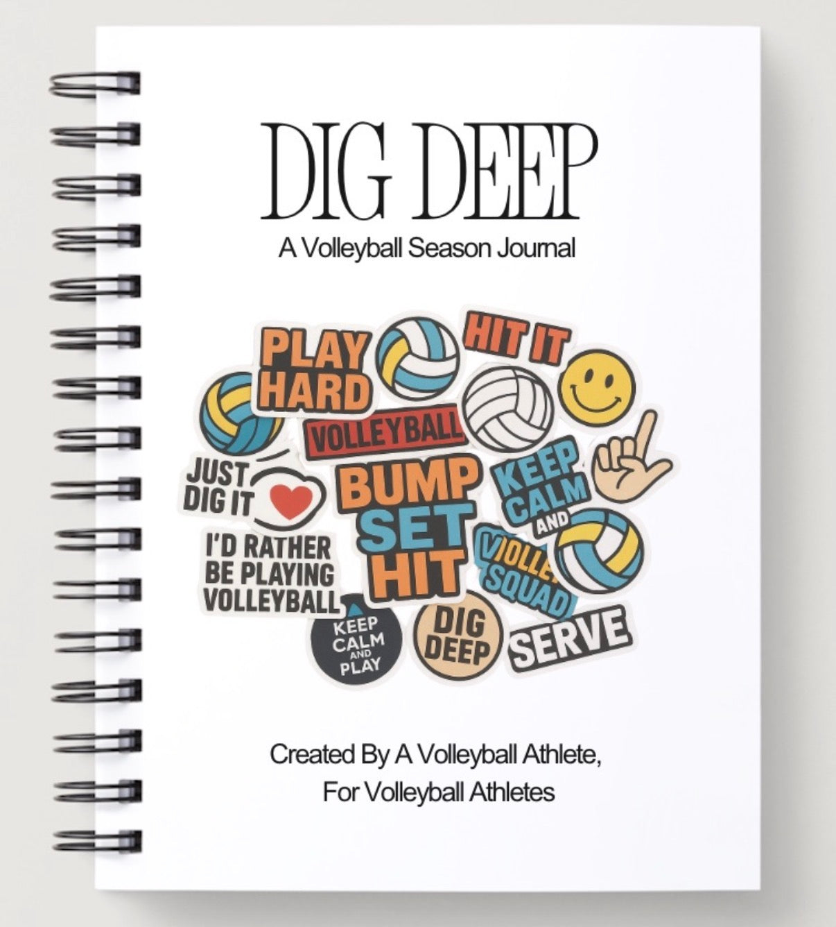 DIG DEEP Volleyball Journal and Sleeve